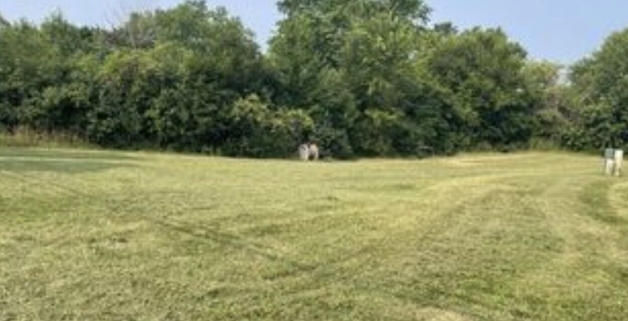 Property Photo: 220 Bluff Court IL 60030