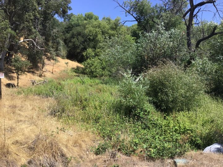 Property Photo:  3071 Chestnut Way  CA 95222 