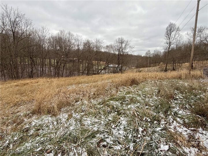 Property Photo: 0 Sealover Hollow Road OH 43771