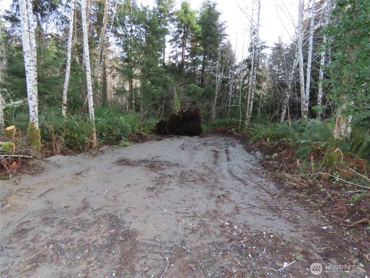 Property Photo:  0  Oregon Lane  WA 98520 