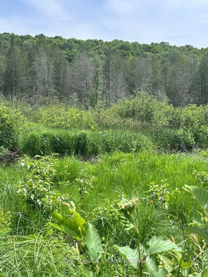 Property Photo:  0 Pt Lt 6 Con 9 N/A  ON K0M 1R0 