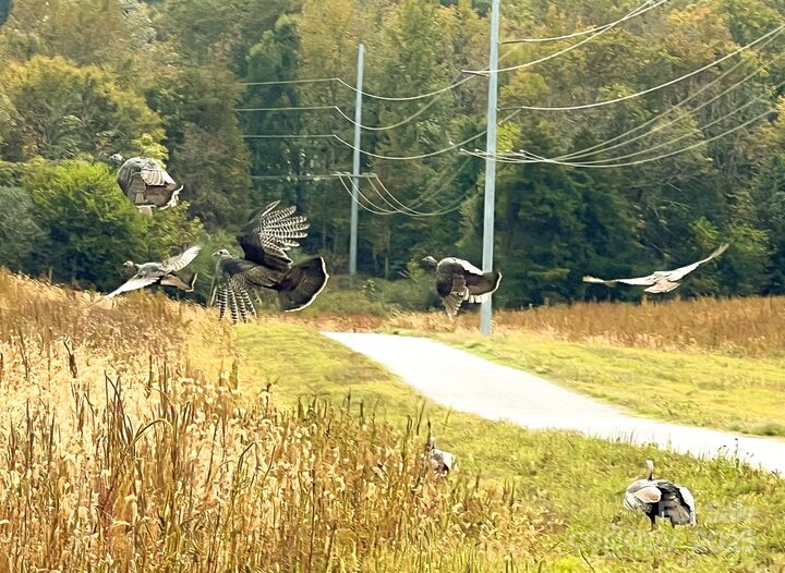 Property Photo: 24990 Birdhouse Lane 4 NC 28097