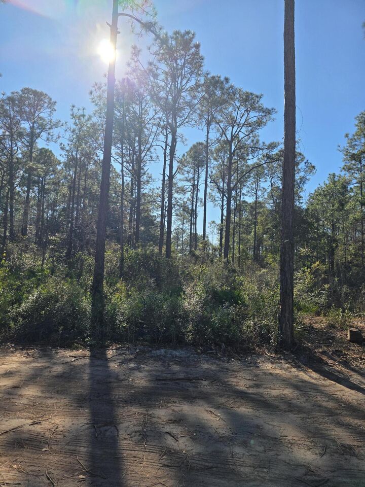 Property Photo:  Lot 25 Quail Park  FL 32459 