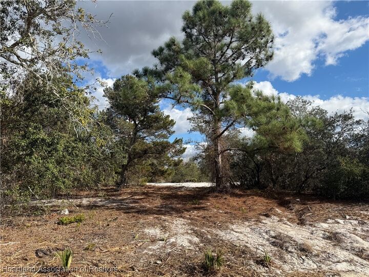 Property Photo:  642 Lake Tina Drive  FL 33852 