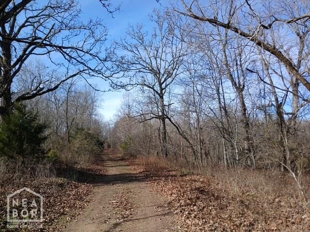 Property Photo:  2 E Wirth Rd  AR 72459 