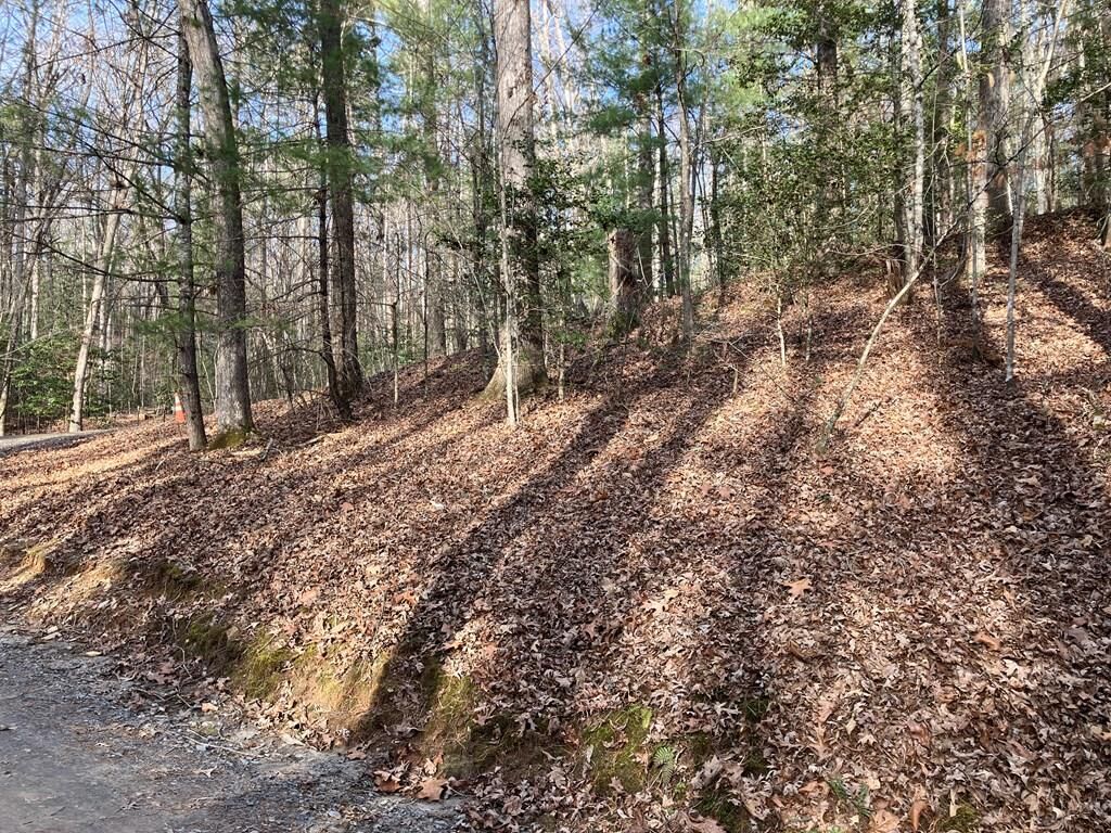 Property Photo:  Lot 26A Amandas Way  NC 28906 