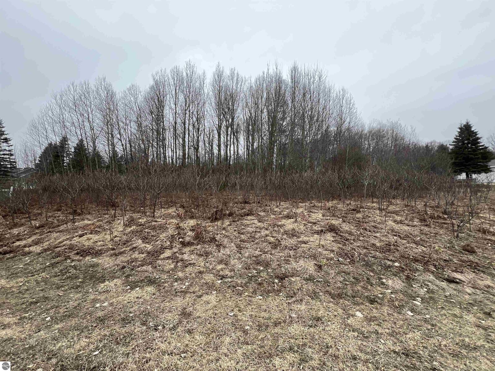 Property Photo:  Lot 19 Crestview Drive  MI 49601 