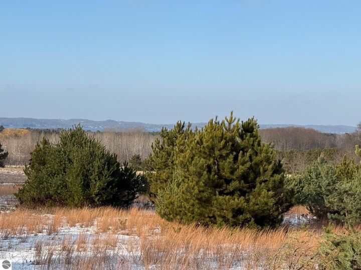 Property Photo:  0 Helena Road  MI 49612 