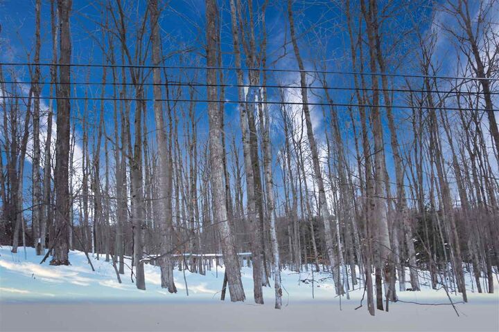 Property Photo:  Tbd Anderson Rd  MI 49712 