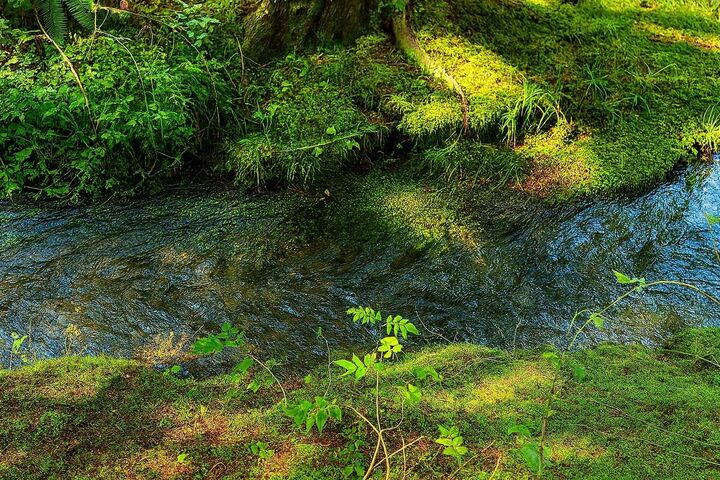 Property Photo:  35xx Mountain View Rd  WA 99109 