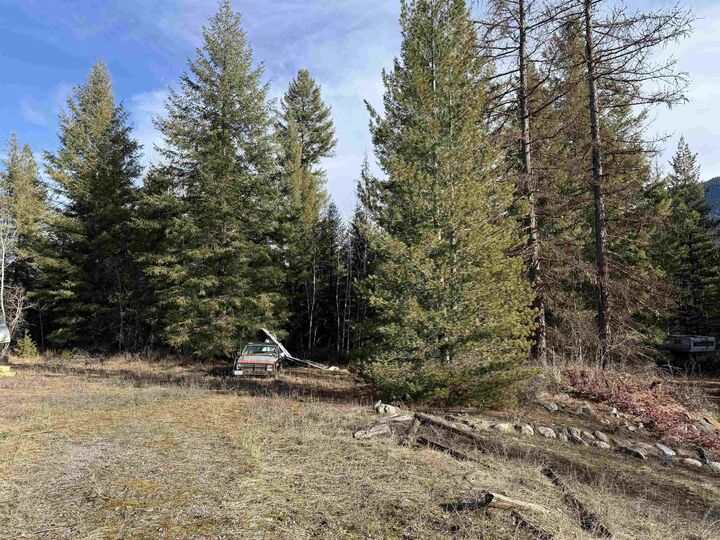 Property Photo:  3832 Deep Lake Boundary Rd  WA 99114 