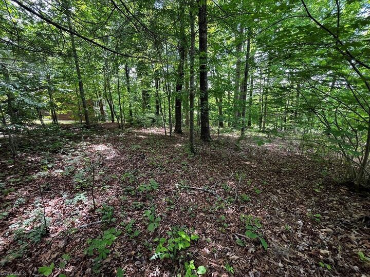 Property Photo:  000 Virgilina Circle  VA 24317 