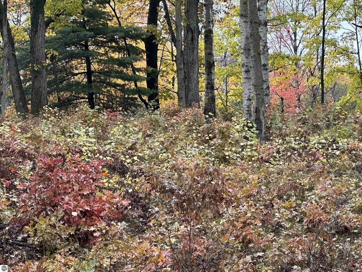 Property Photo:  Lot #5 N Circle E  MI 48622 
