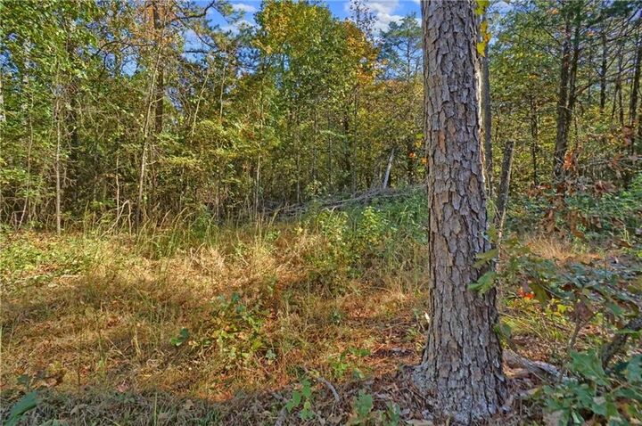 Property Photo: Lot 6 Melvin Lane AR 72837