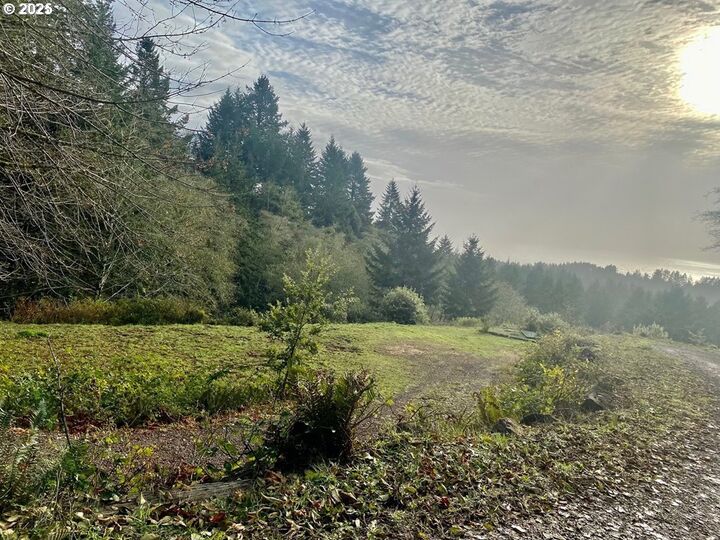Property Photo:  0 Whisper Ln  OR 97415 