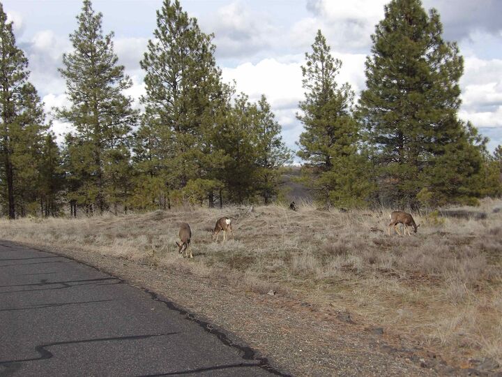Property Photo: 31905 E Ruffed Grouse Dr WA 99122