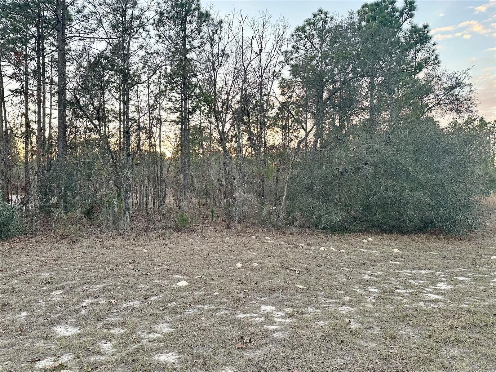 Property Photo:  0 SW 129th Pl  FL 34473 