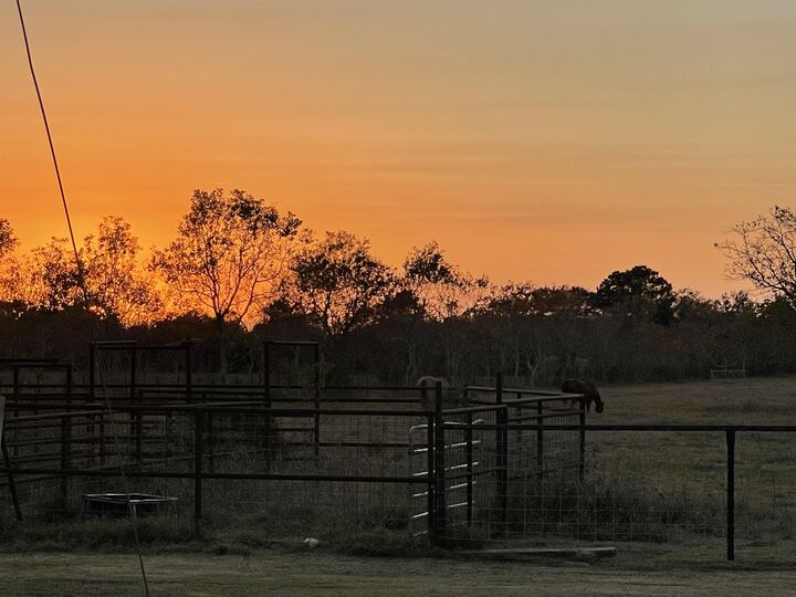 Property Photo:  16508- Wilber Rd.  TX 77622 