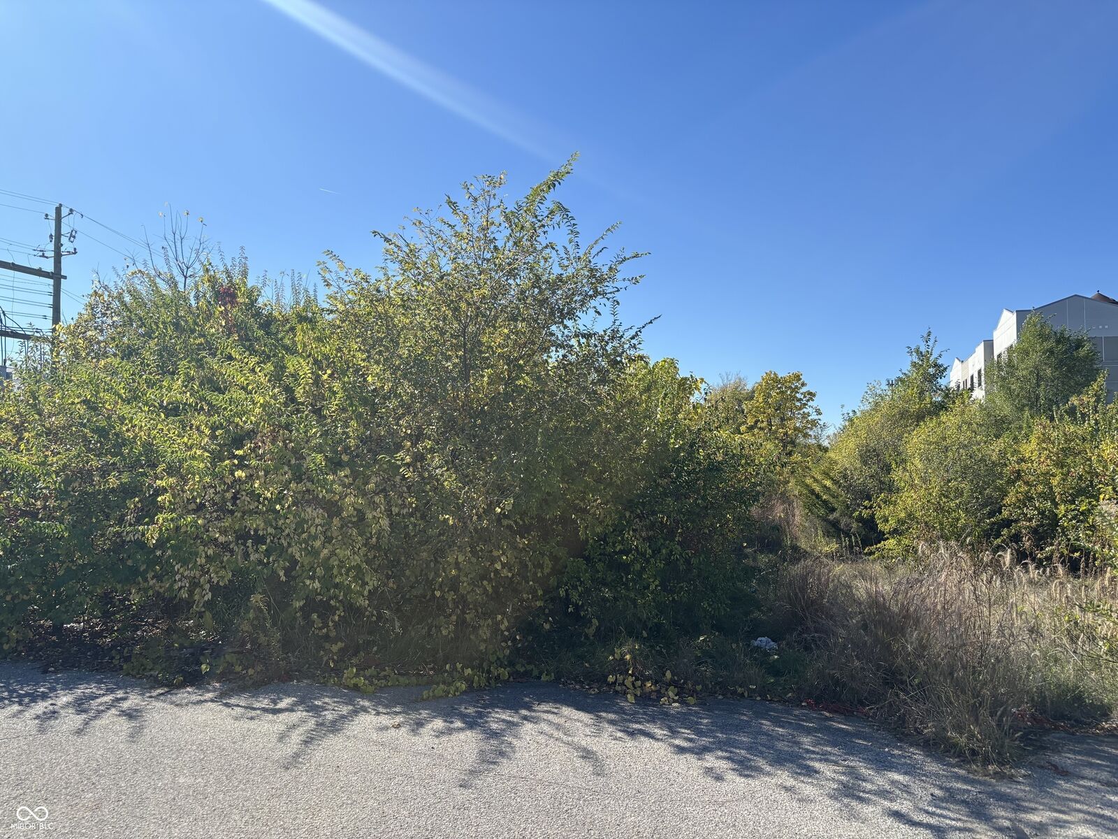 Property Photo:  2069 N Yandes Street  IN 46202 