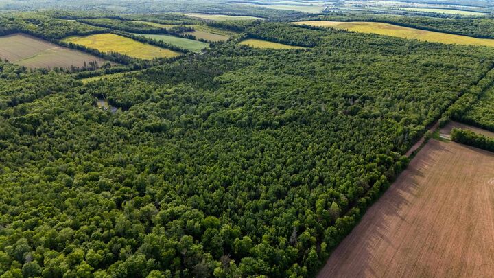 Photo de la propriété:  Lot D Murray Harbour Road  PE C0A 1R0 