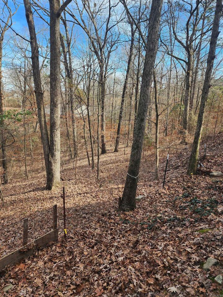 Property Photo:  3152 Polk Road 293  AR 71953 