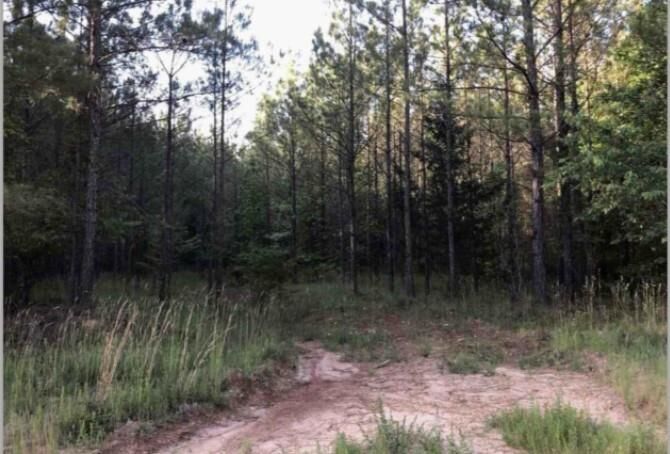 Property Photo:  00 Lower Mill Road  GA 30631 