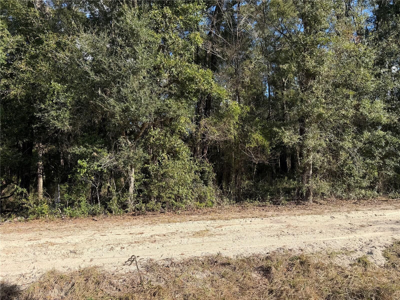 Property Photo:  Tbd SW 134 Ter  FL 32618 