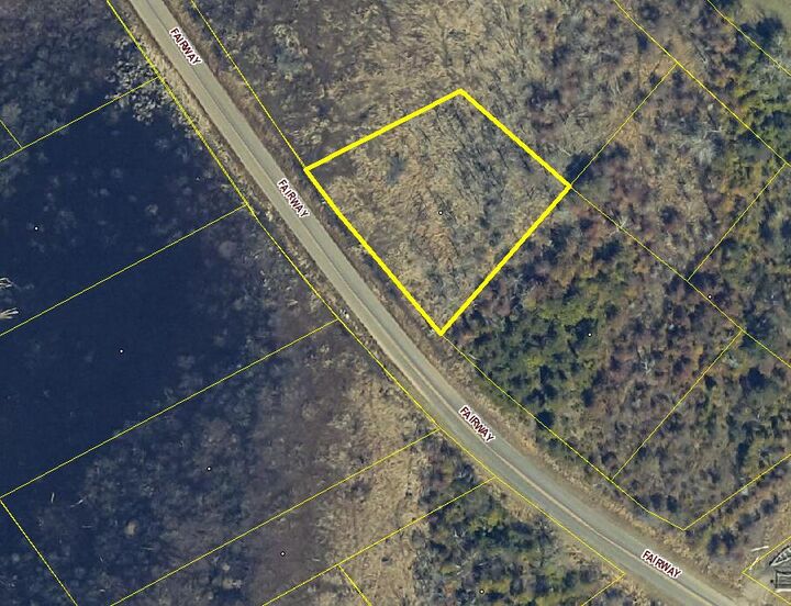 Property Photo: Lot 17, W Fairway Street MI 49675