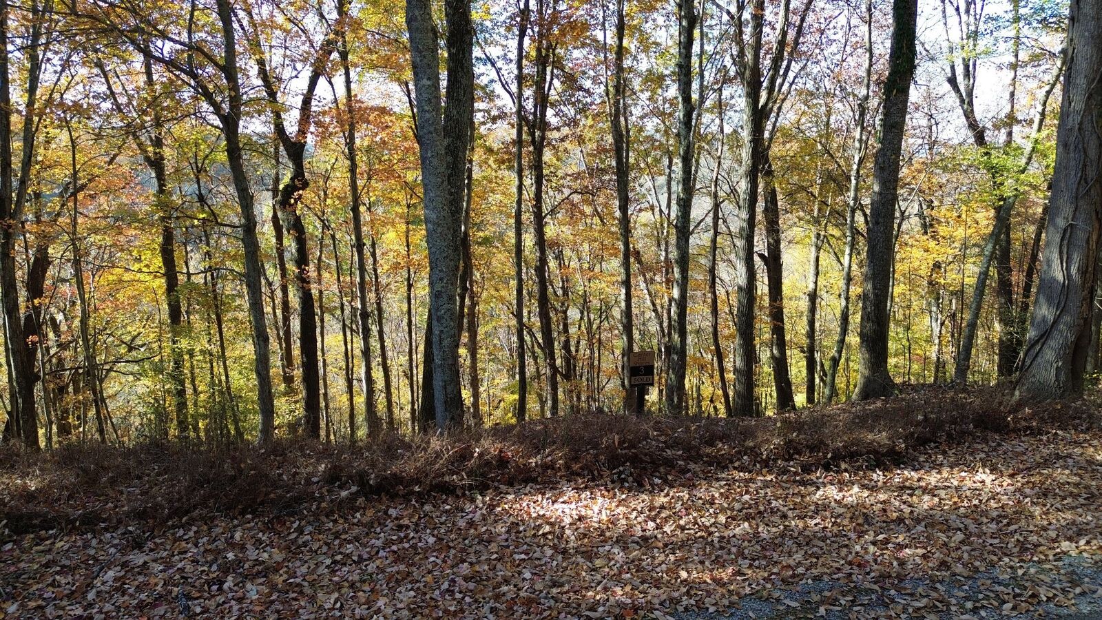 Property Photo:  0 Savannah Dr  TN 37166 