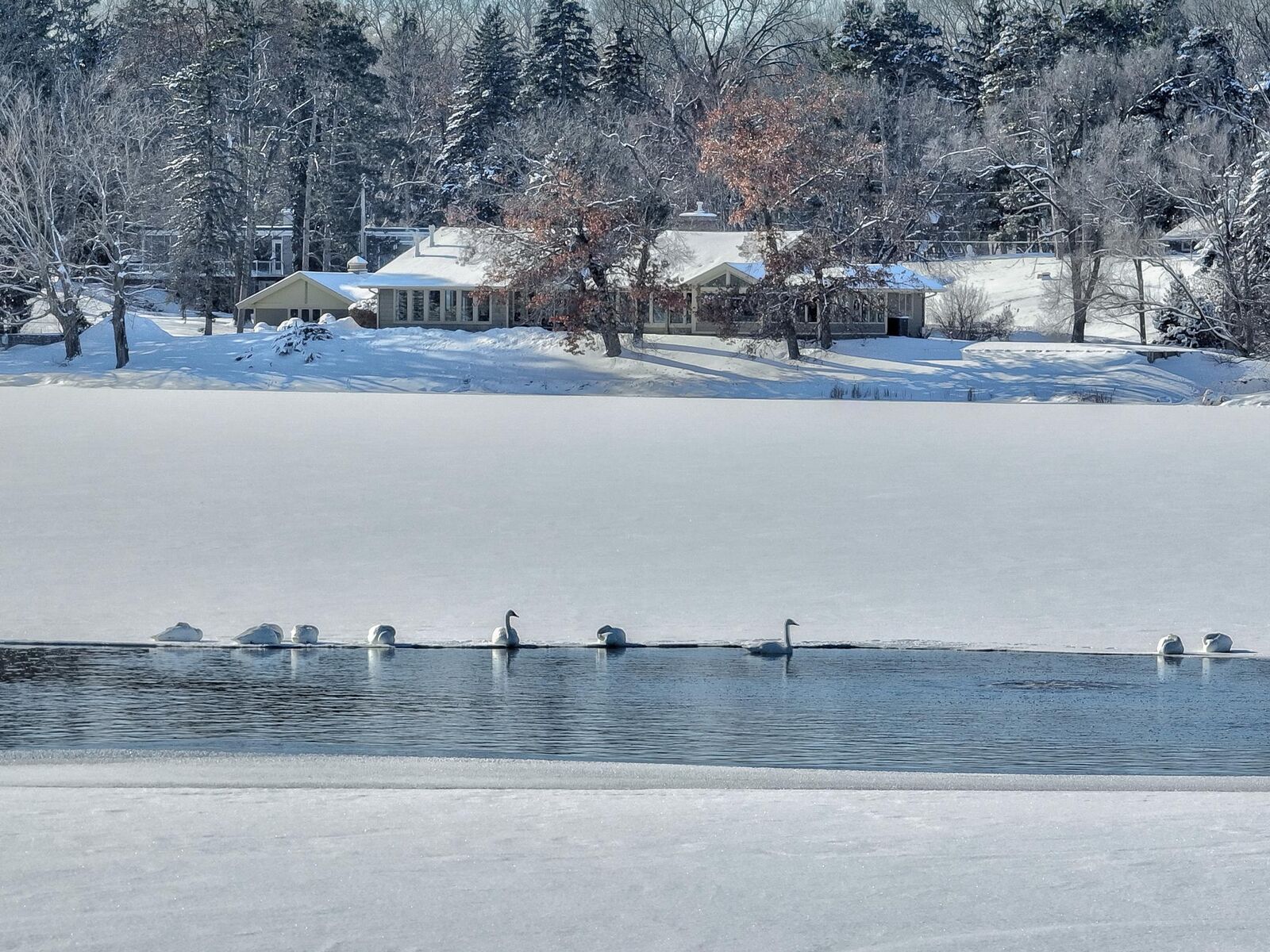 Property Photo: 4 W Shore Road MN 55127