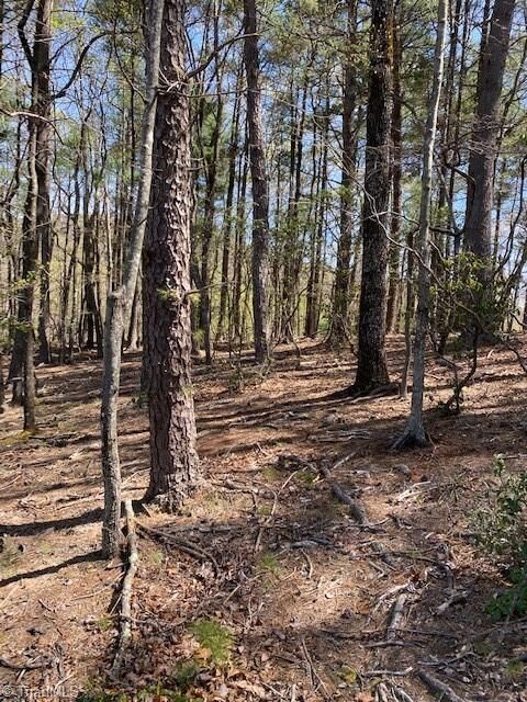 Property Photo:  00 Angle Street  NC 28665 