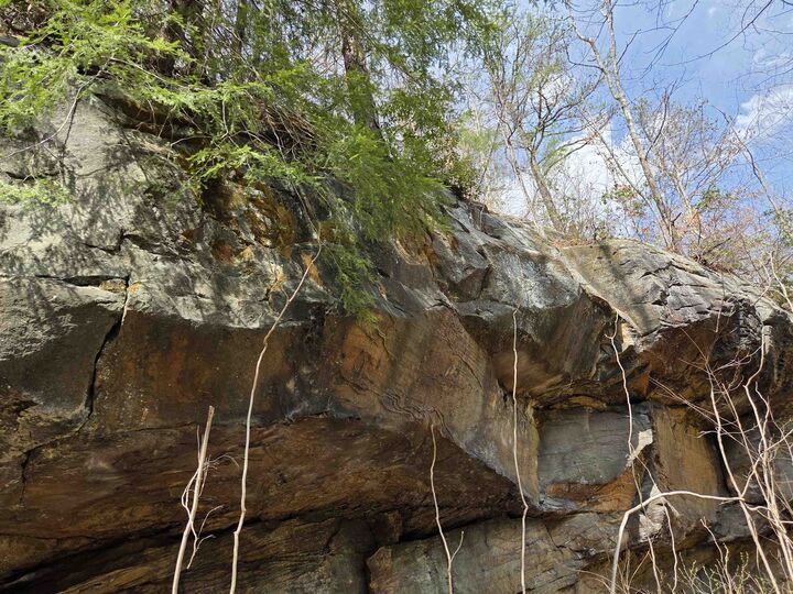 Property Photo:  Kiser Fork Rd  KY 41164 
