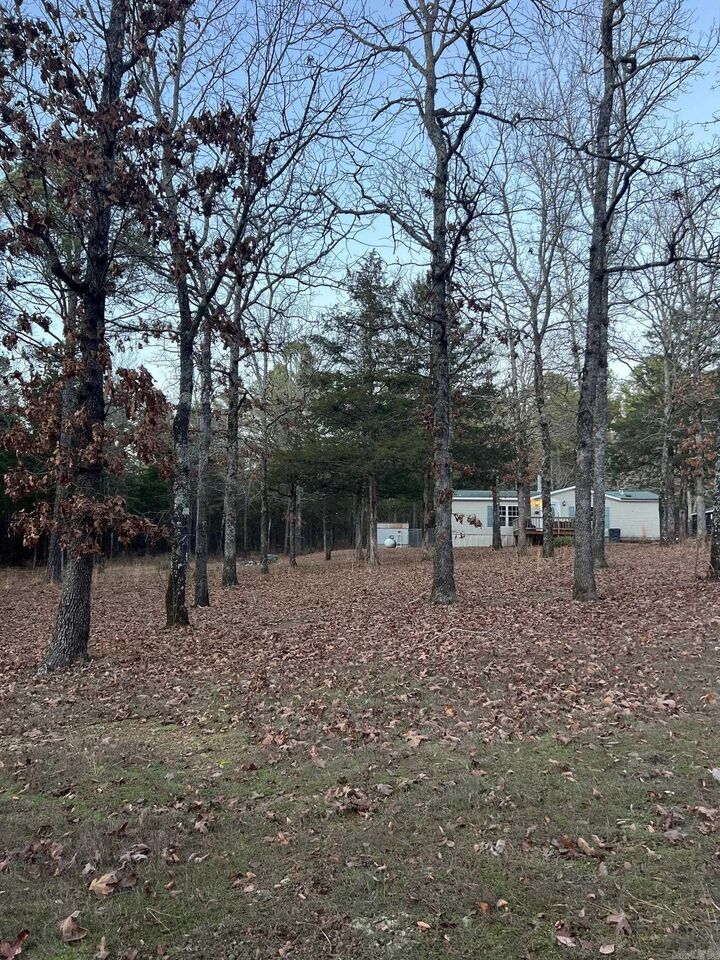 Property Photo:  351 Grady  AR 72153 