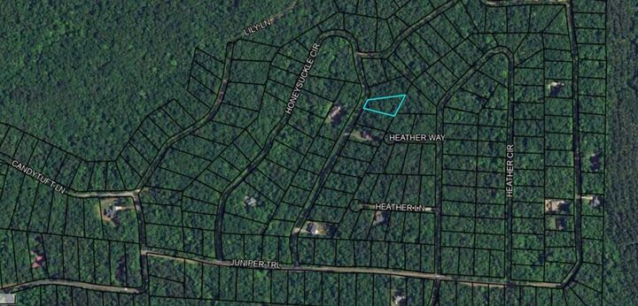 Property Photo:  Blk 27 Lot 22 Honeysuckle Circle  GA 31831 