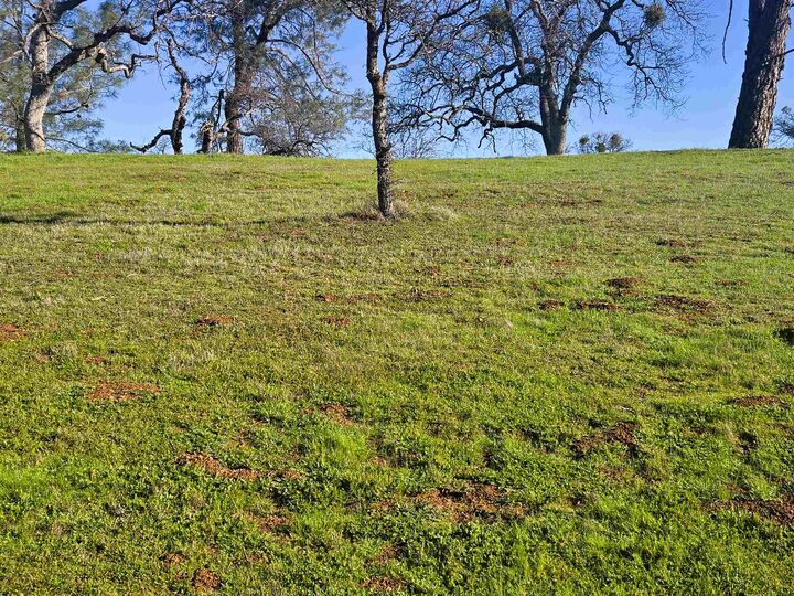 Property Photo:  0 Frio Court  CA 95329 