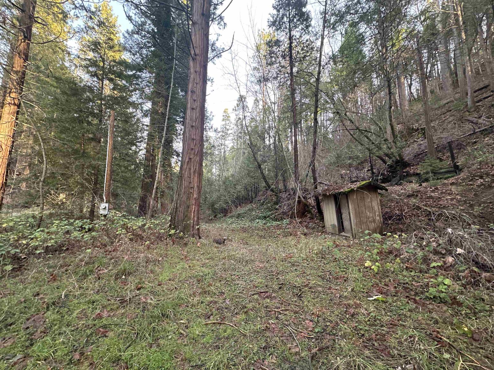 Property Photo:  22895 S Fork Rd.  CA 95383 
