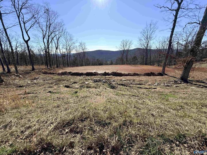 Property Photo:  85 Watson Grande Way NE  AL 35763 