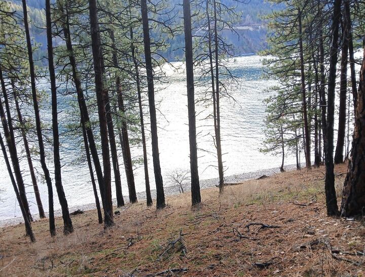 Property Photo: 20xx Ray Anderson Rd WA 99141