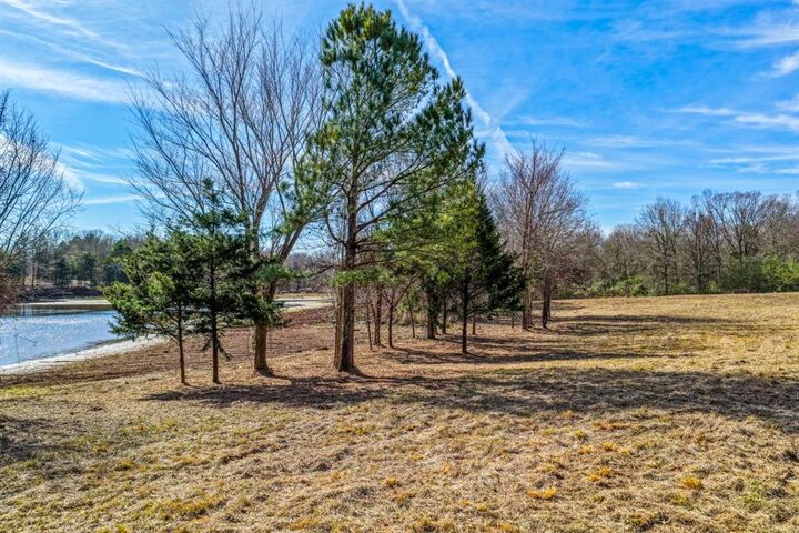 Property Photo: Tbd County Road 1573 TX 75410