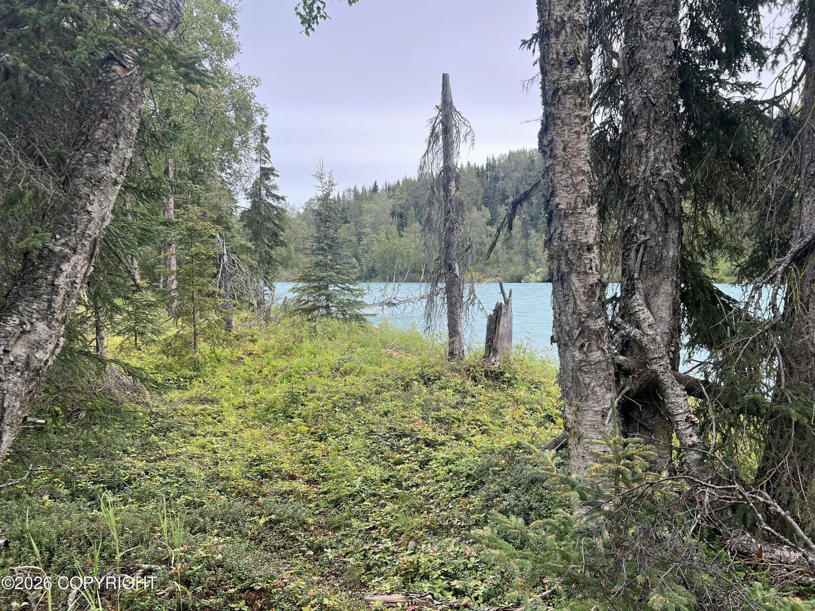 Property Photo:  L2 Jackie Ann Street  AK 99610 