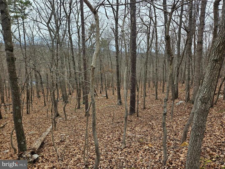 Property Photo:  Chapman Lane  VA 22620 