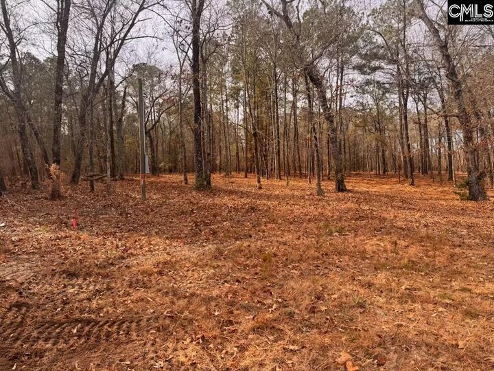 Property Photo:  0 Myers Lane Myers  SC 29135 