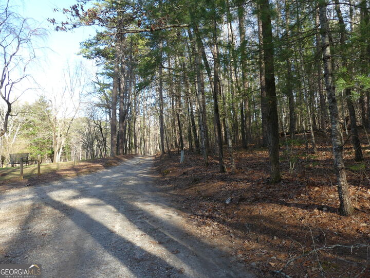 Property Photo:  225 Hilltop Lane  GA 30523 