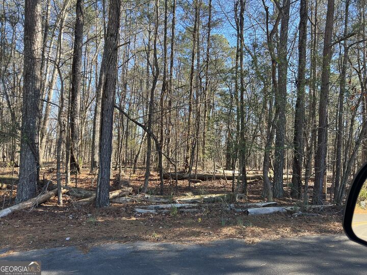 Property Photo:  23 Orchard Springs Drive  GA 30165 