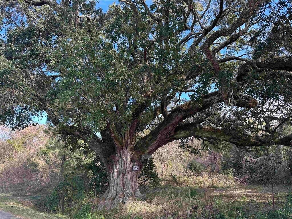 Property Photo:  26702 County Road 54 Road  AL 36526 