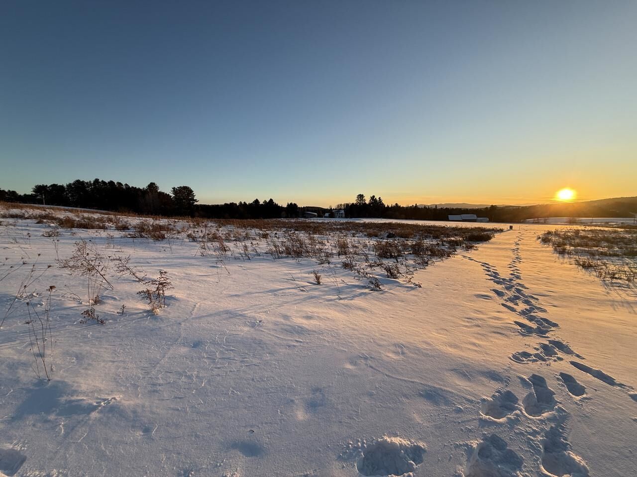 Property Photo: 0 L Brown Drive VT 05602