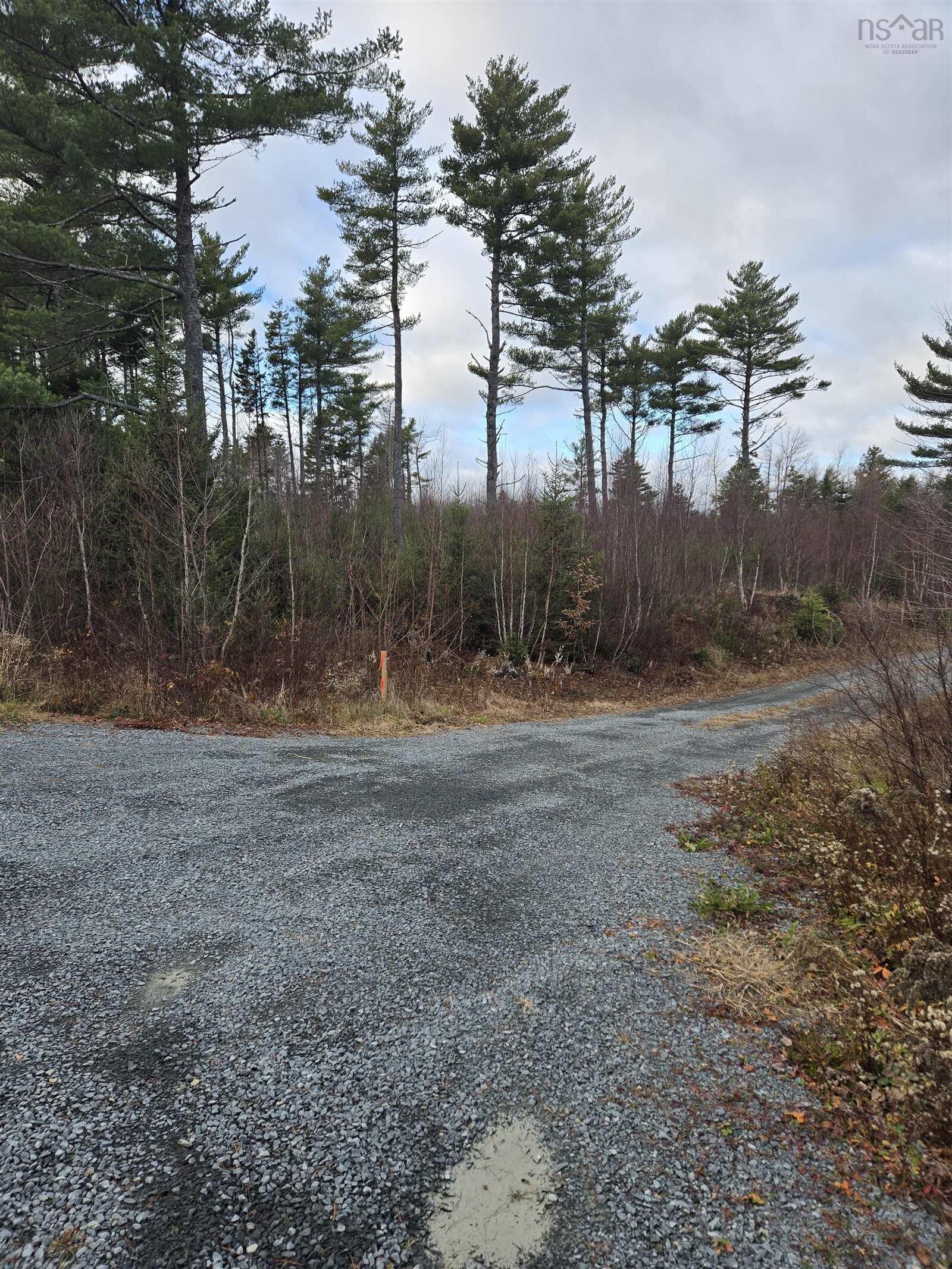 Property Photo:  Lot P-1 Baker Road  NS B0R 1G0 