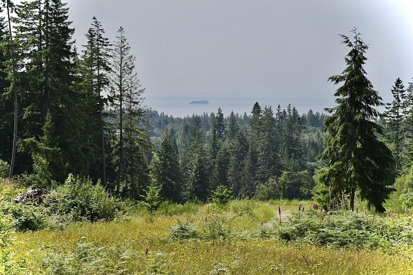 Property Photo: 1491 Reed Road BC V0N 1V7