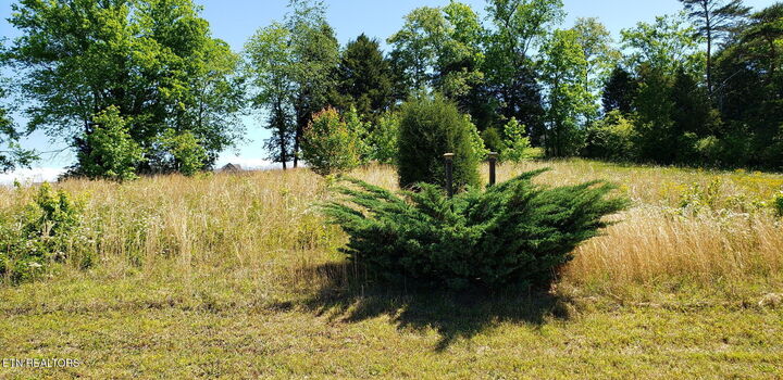 Property Photo:  501 W Shore Drive  TN 37854 