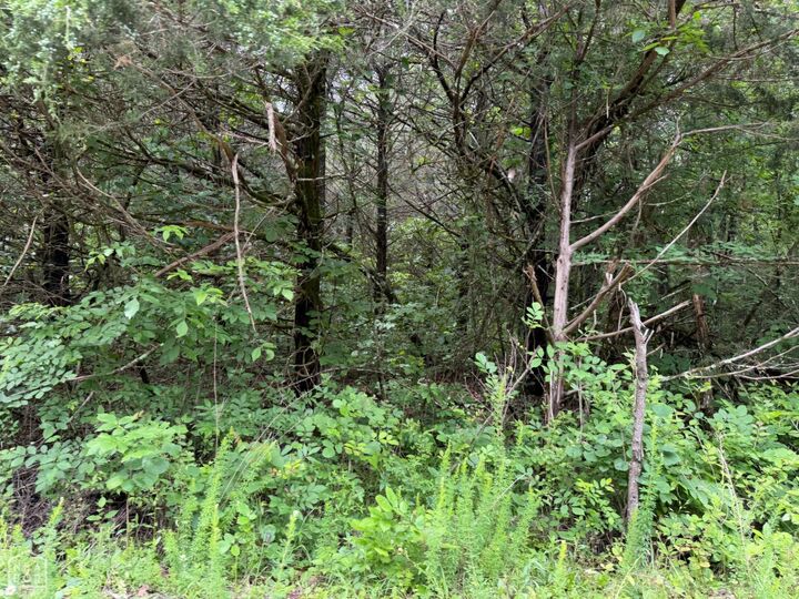 Property Photo: 1 Clark Lane AR 72512